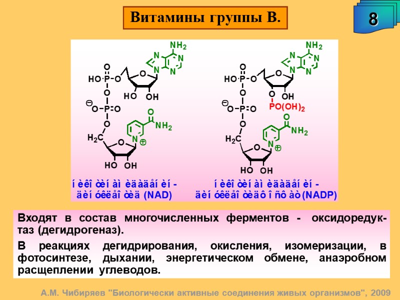 А.М. Чибиряев 
